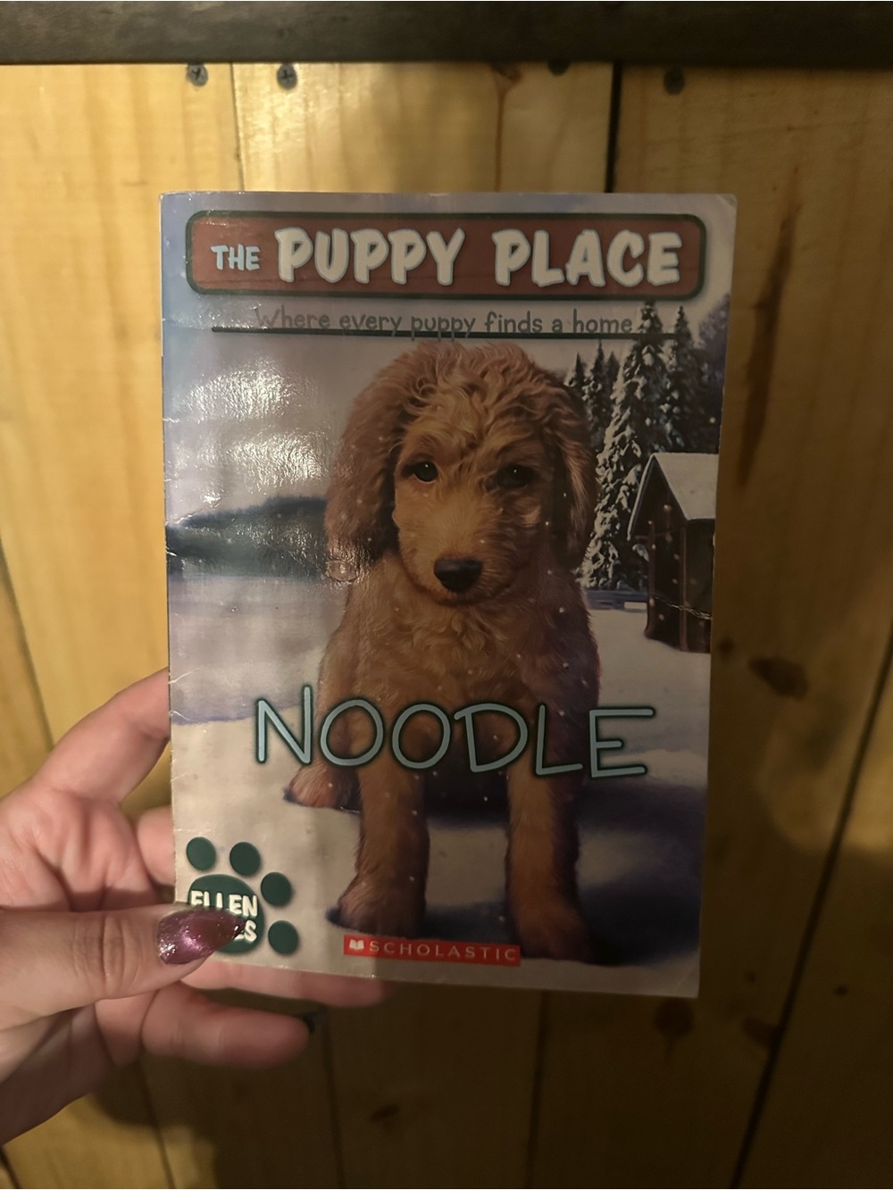 Scholastic The Puppy Place: Noodle - Brown Puppy Story